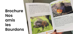 Nos amis bourdonnants - Brochure Biodiversité de la Cellule Environnement