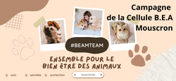 Campagne BEA Team de Mouscron - suivez-nous !