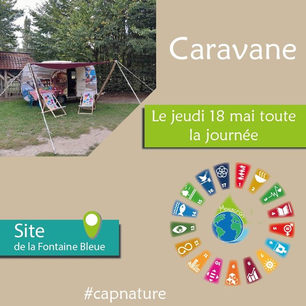 Caravane ODD Cap Nature 2023